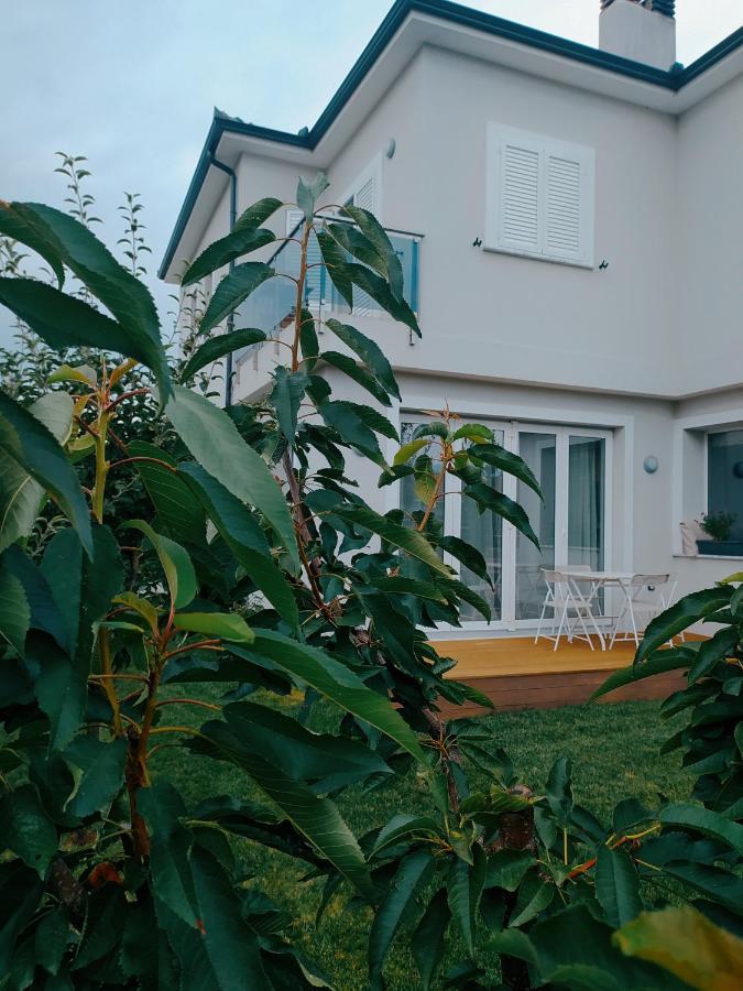 Marena B&B Pogradec Bagian luar foto