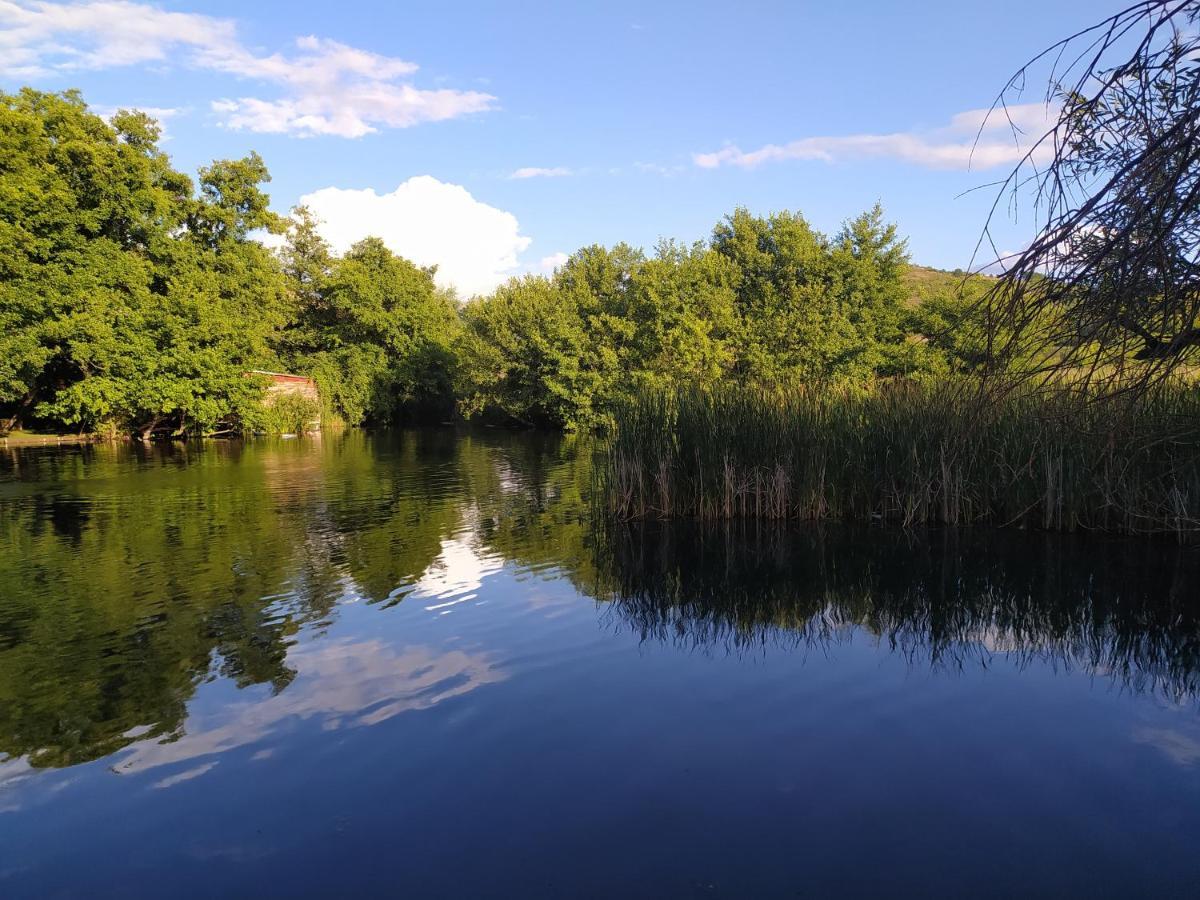 Marena B&B Pogradec Bagian luar foto
